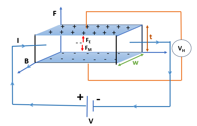 Newtons-Rings Diagram