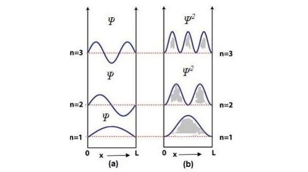 Wave function and Energy of the particle